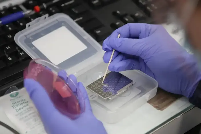 lab technician working in a lab