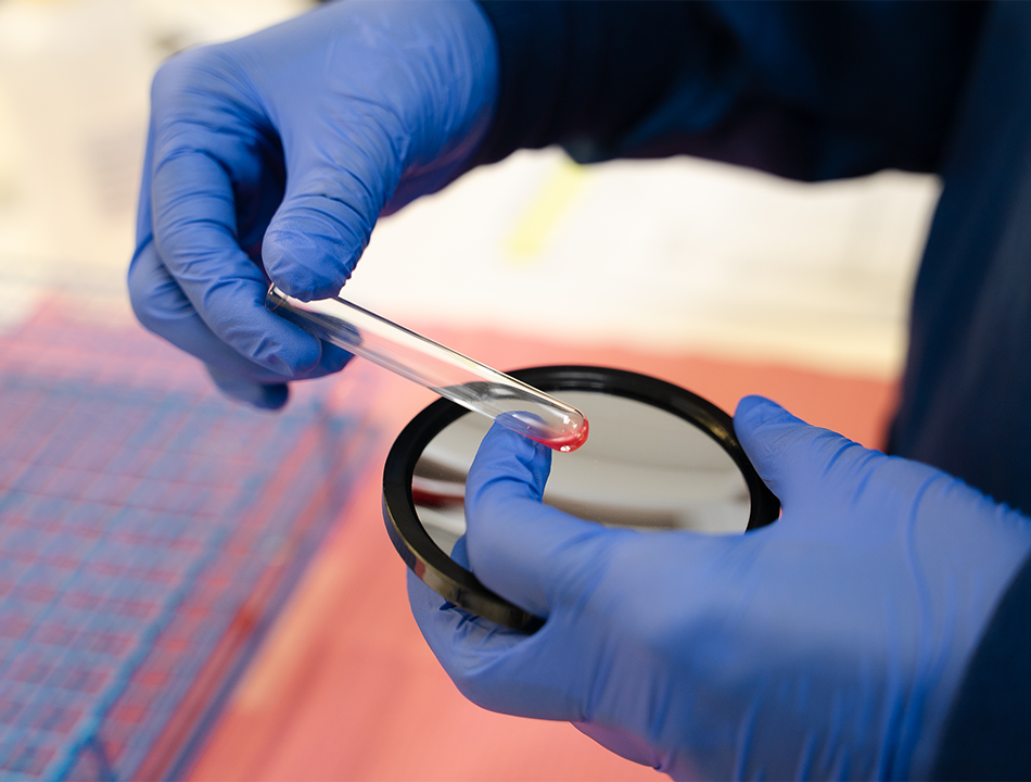 a-person-holding-petri-dish-and test-tube