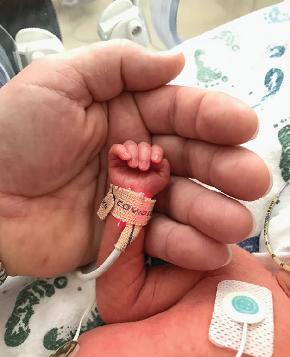 small-baby-hand-held-by-parent