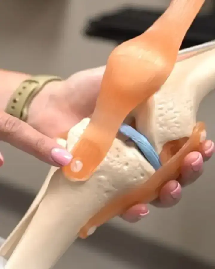 man pointing a knee model